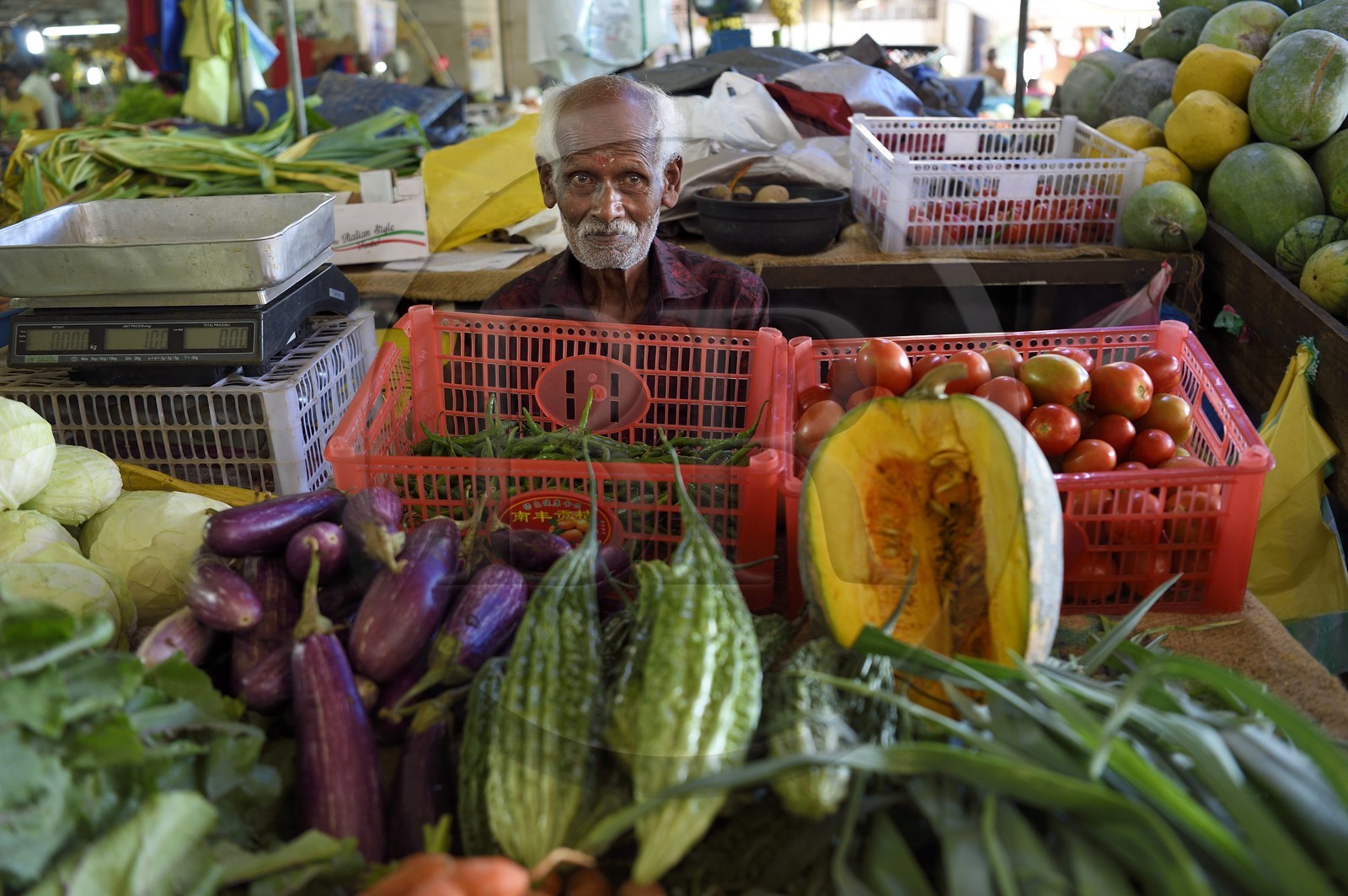 Sri Lanka, Province d'Uva, Bandarawela, marché couvert, étal de fruits et légumes