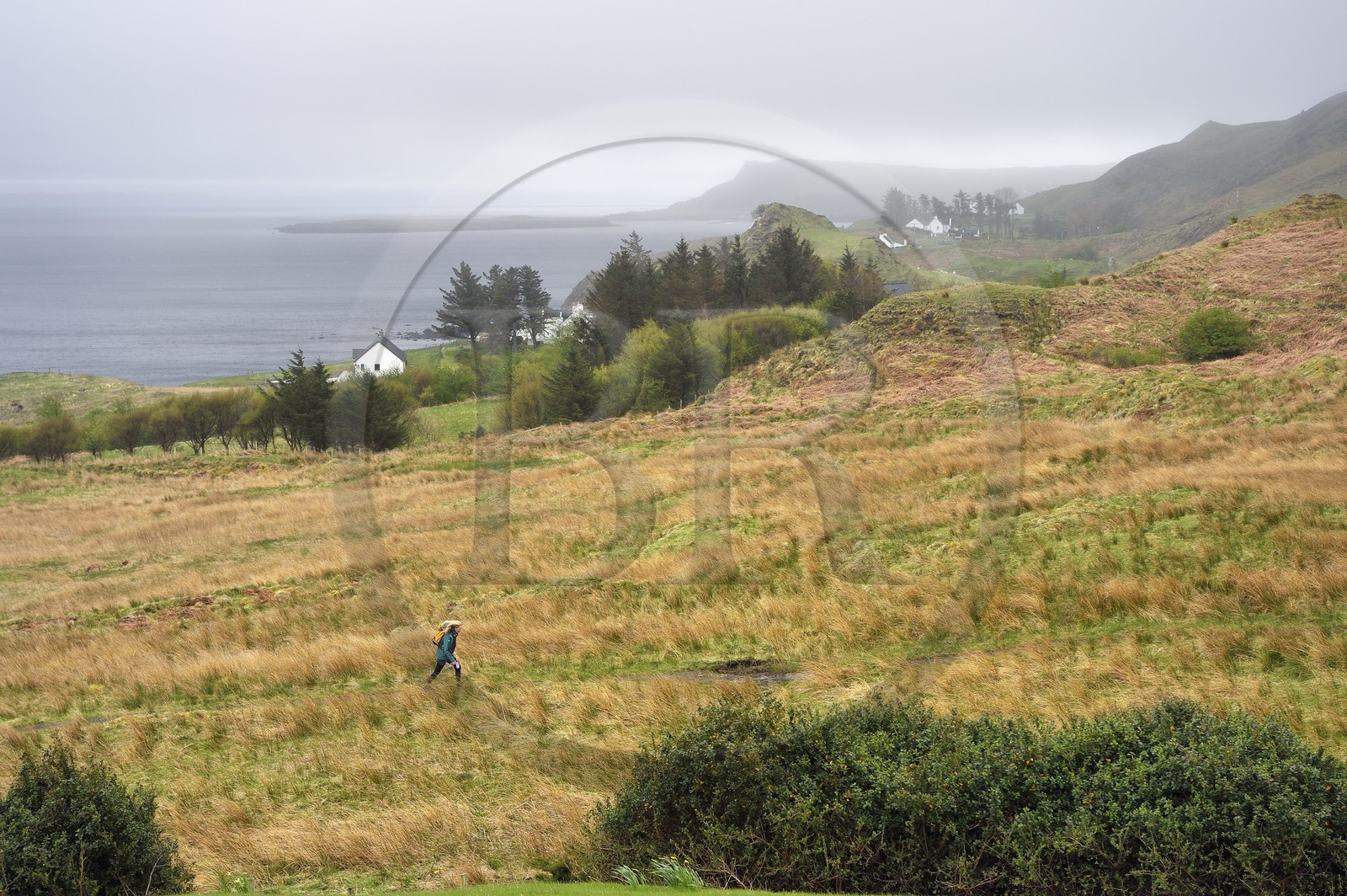 Royaume-Uni, Ecosse, région des Highlands, les Hébrides, Ile de Skye, la cote à Flodigarry