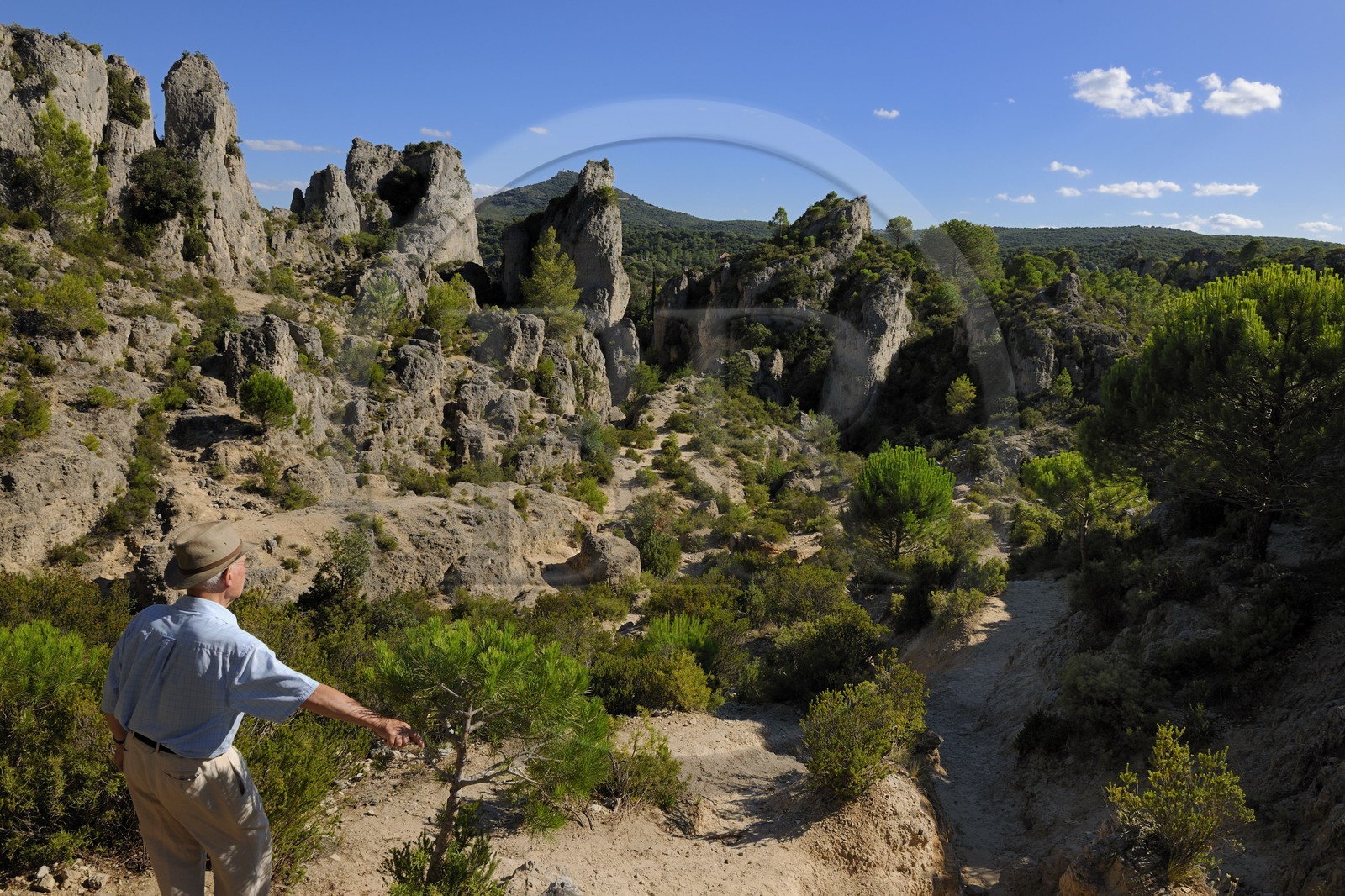 France, Herault, Cirque de Moureze, dolomitic rocks