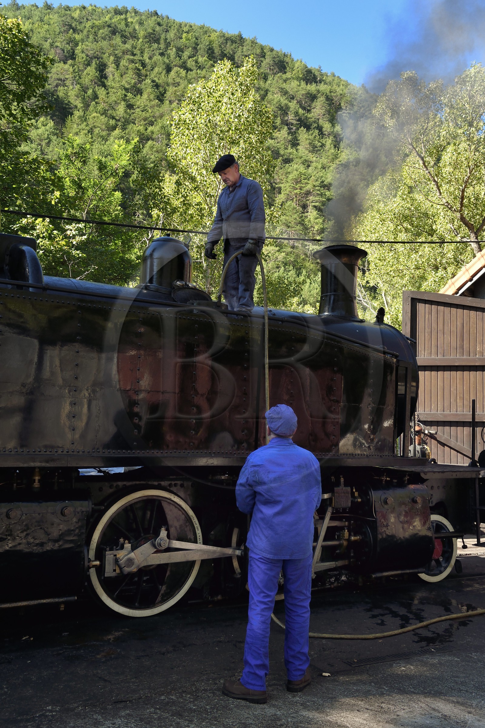 France, Alpes-Maritimes, Puget Theniers, the Train des Pignes historic train, engineer and stoker make water for the locomotive