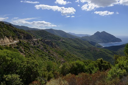 France, Corse du Sud, Golfe de Girolata, listed as World Heritage by UNESCO, the D81 road that goes from Calvi to Porto and the Capo Senino seen from the Col de Palmarel