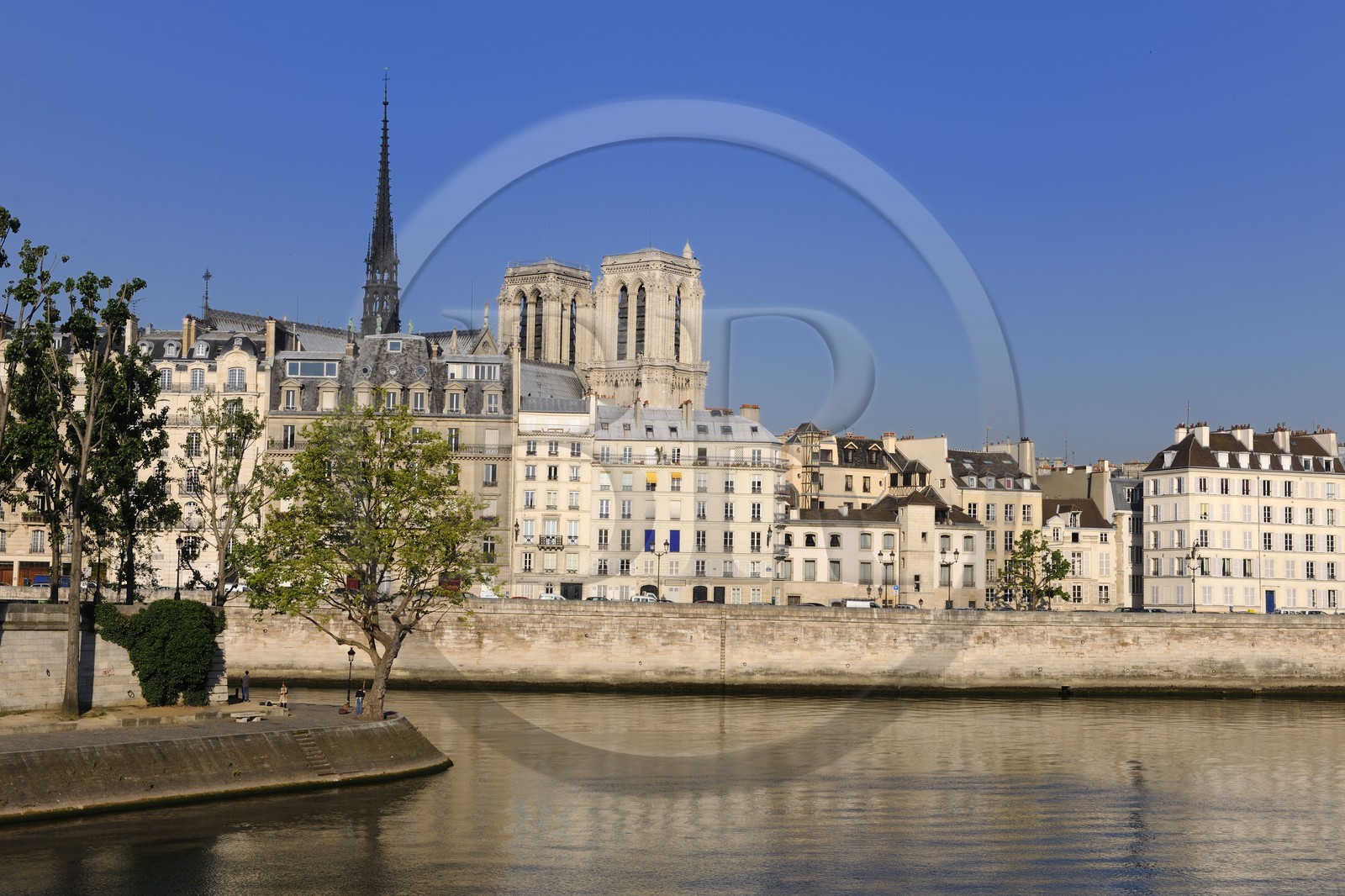 France, Paris (75), Ile de la Cité, Notre-Dame émergeant du quai aux fleurs et la pointe de l'île Saint-Louis sur la Seine
