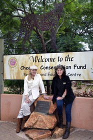 Namibie, Otjiwarongo, Cheetah Conservation Fund, centre de recherche et d'éducation, Dr Laurie Marker fondatrice et directrice exécutive du CCF fondé en 1990 à droite en compagnie de la princesse Michael de Kent Marie-Christine von Reibnitz à gauche