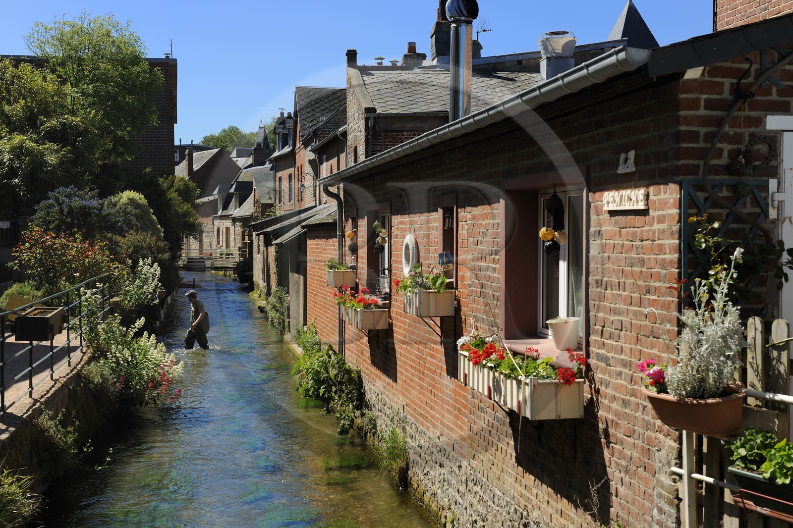France, Seine-Maritime (76), le village de Veules-les-Roses est traversé par la Veules fleuve célèbre pour la faible longueur de son cours (1 100 m)
