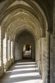 France, Gard, Villeneuve les Avignon, the Charterhouse of Val de Benediction, the great cloister or cloister of the dead