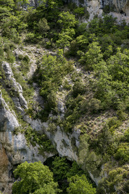 France, Vaucluse (84), Parc naturel régional du Mont Ventoux, Monieux, Gorges de La Nesque, randonneurs descendant sur un sentier abrupt vers le  fond du canyon