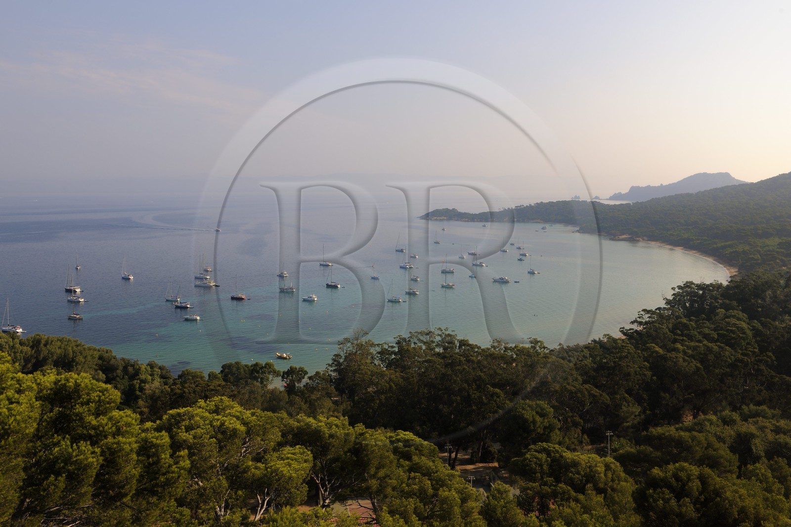 France, Var (83), Iles d'Hyères, parc national de Port-Cros, île de Porquerolles, plage de la Courtade
