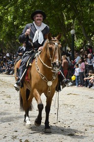 Argentine, province de Buenos Aires, San Antonio de Areco, fête du Jour de la Tradition (Dia de la Tradicion), gaucho à cheval défilant en habit traditionnel