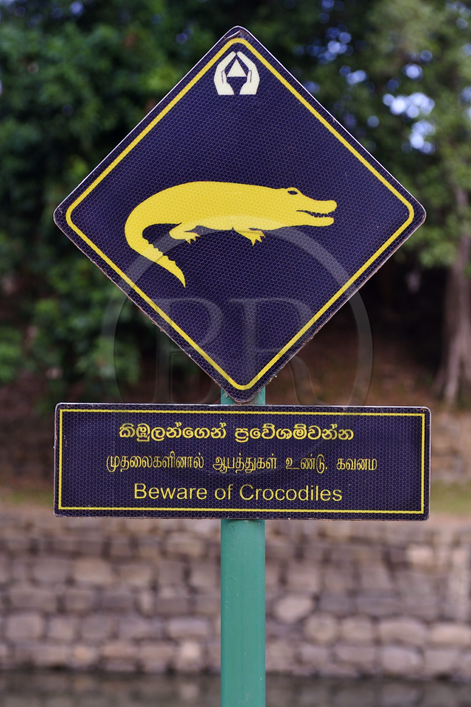 Sri Lanka, province centrale, district de Matale, Sigiriya, ville ancienne de Sigiriya classée patrimoine mondial de l'UNESCO, l'ancien palais forteresse du Rocher du Lion, panneau indicateur mettant en garde sur la présence de crocodiles