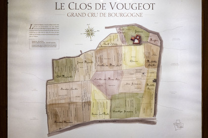 France, Cote d'Or, cultural Landscape of the climates of Burgundy listed as World Heritage by UNESCO, Route des Grands Crus (road of Vintage Wines), vineyard of the Côte de Nuits, Vougeot, the Chateau of Clos de Vougeot, name of the plots