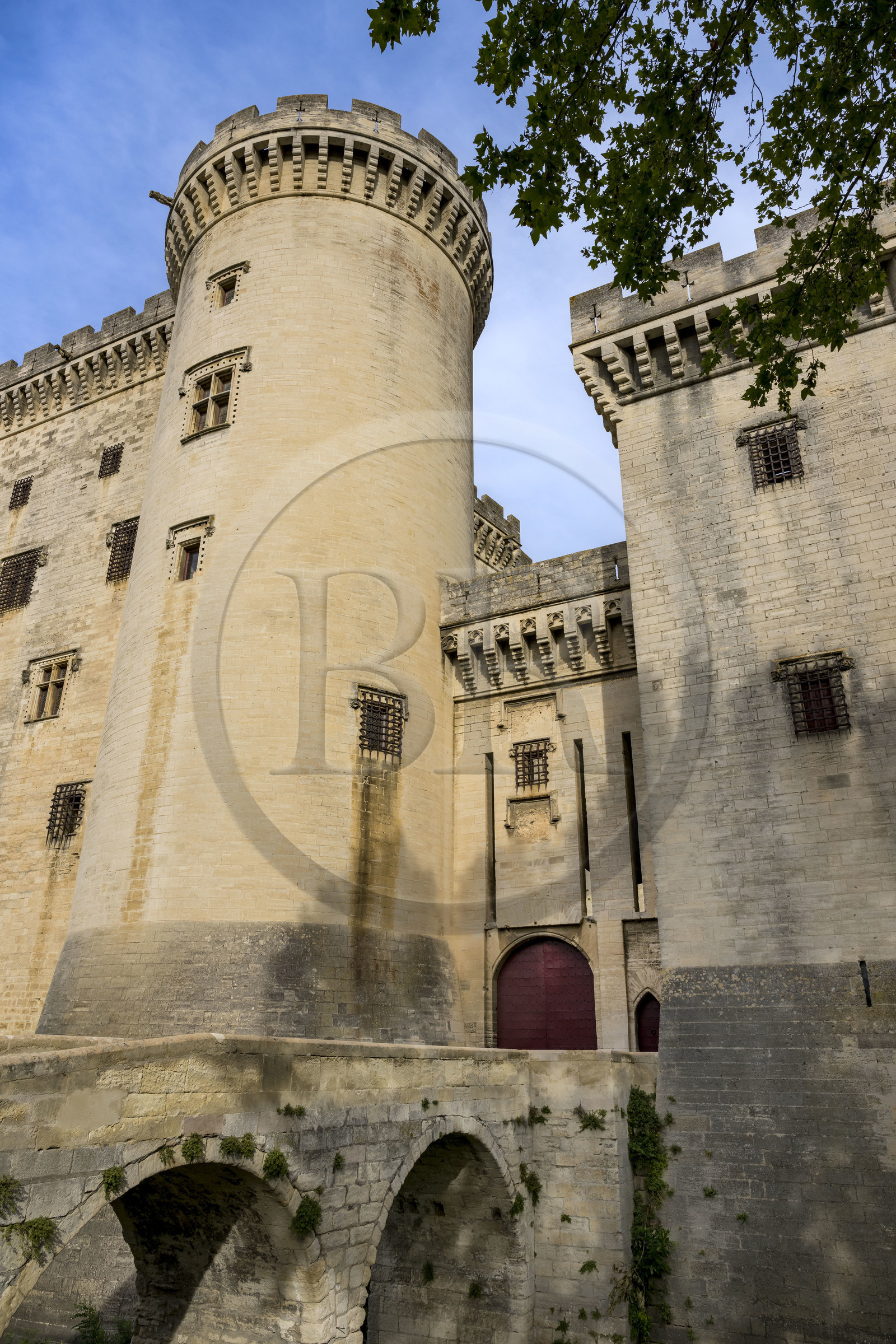 France, Bouches-du-Rhône (13), Tarascon, le chateau du roi René datant du XVe siècle, ancien pont levis