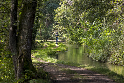 France, Nievre, Regional Natural Park of Morvan, upstream of the Montreuillon aqueduct, cyclist on the path along the Rigole d'Yonne which draws water from the Yonne at Lake Pannecière and feeds the Nivernais Canal