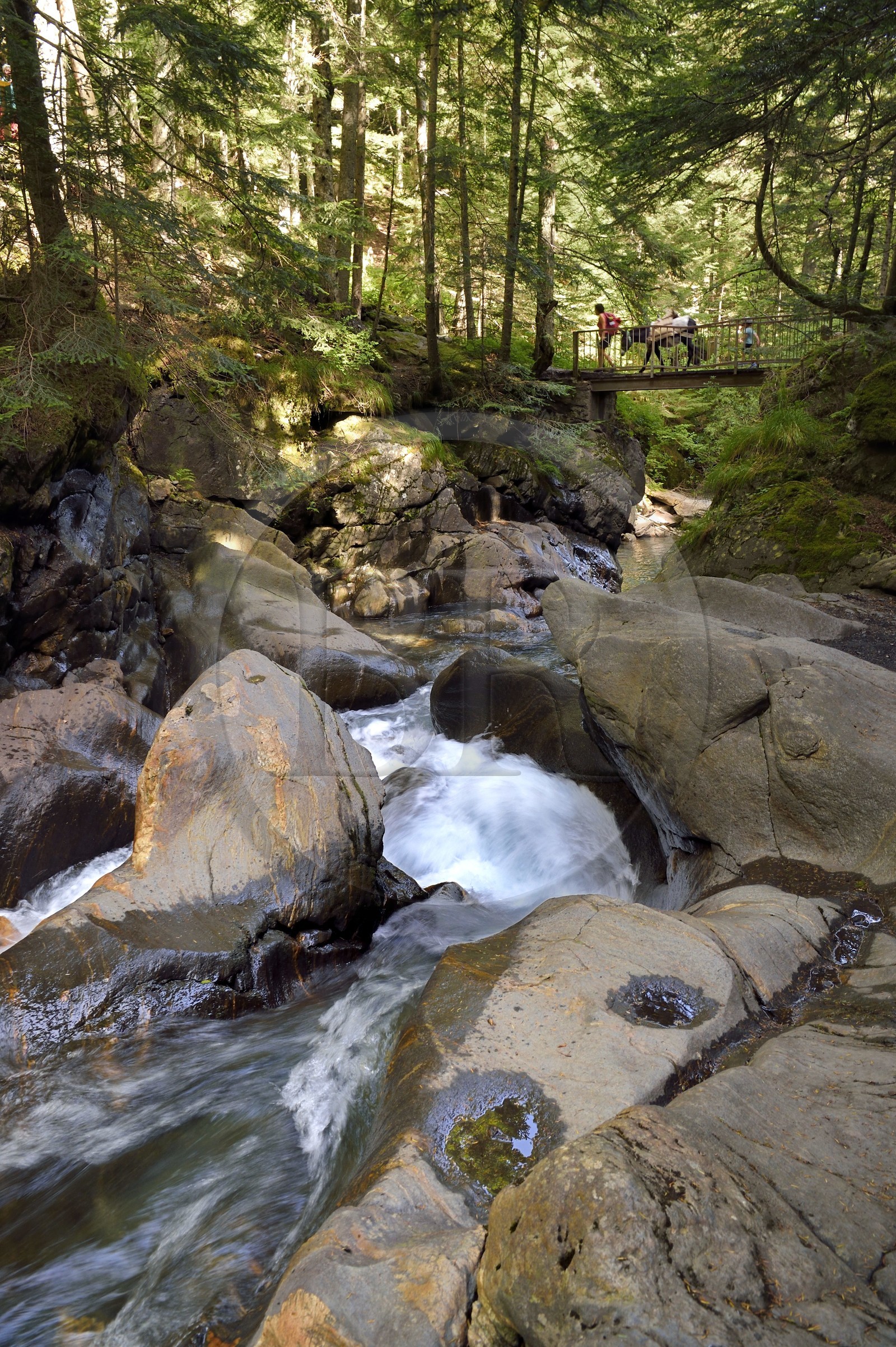 France, Hautes-Pyrénées (65), Saint-Lary-Soulan, vallée du Rioumajou, randonnée avec un ane et passage au-dessus de la (rivière) Neste de Rioumajou