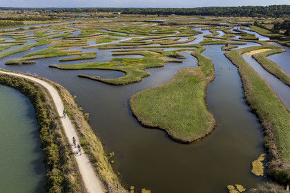 France, Vendée (85), Talmont Saint Hilaire, Guittière marshes in the hinterland of Pointe du Payré, Passage du Cul d’Ane, marshes developed for fish farming of sea bream, mullet and eels (aerial view)