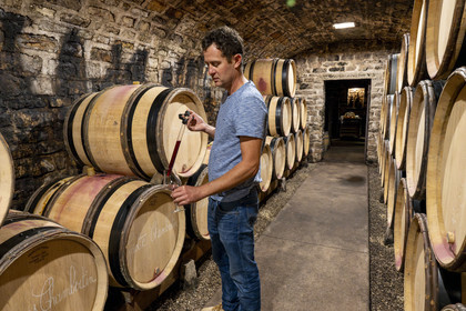 France, Côte-d'Or (21), Paysage culturel des climats de Bourgogne classés Patrimoine Mondial de l'UNESCO, Route des Grands Crus, vignoble de la Côte de Nuits, Gevrey-Chambertin, Domaine Dugat, Bertrand Dugat dans les cave sous l'ancien Cellier des Dimes des évêques de Langres où il entrepose ses tonneaux