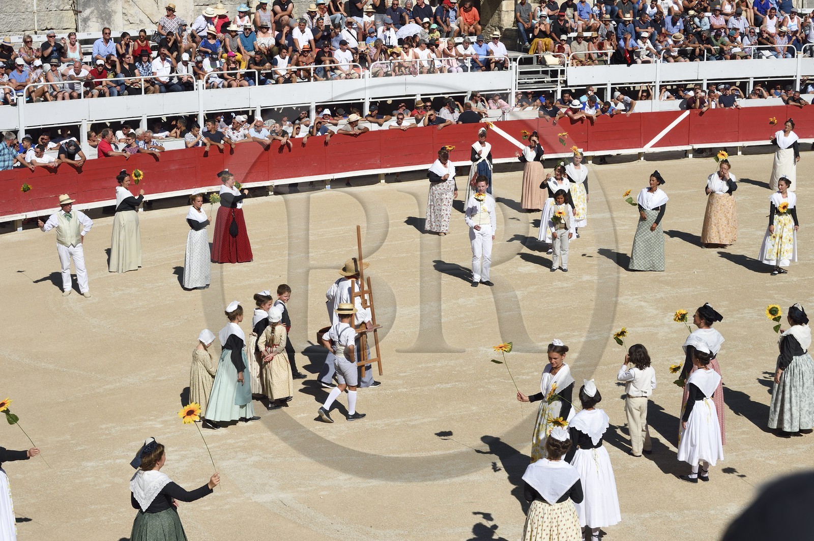 France, Bouches-du-Rhône (13), Arles, spectacle précédant la course camarguaise  de la Cocarde d'Or aux Arènes