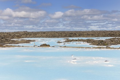 Iceland, Grindavik, the Blue Lagoon with waters rich in silica (Geothermal Plant)