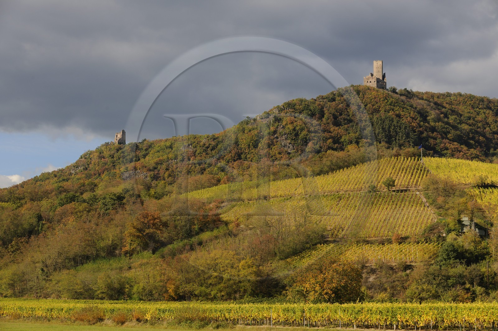 France, Bas-Rhin (67), châteaux de Ramstein à gauche et Ortenbourg à droite