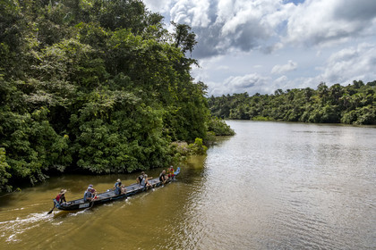 France, French Guiana, Kourou, Camp Maripas, pirogue P12 (traditional Guyanese pirogue adapted in resin) on the Kourou River (aerial view)