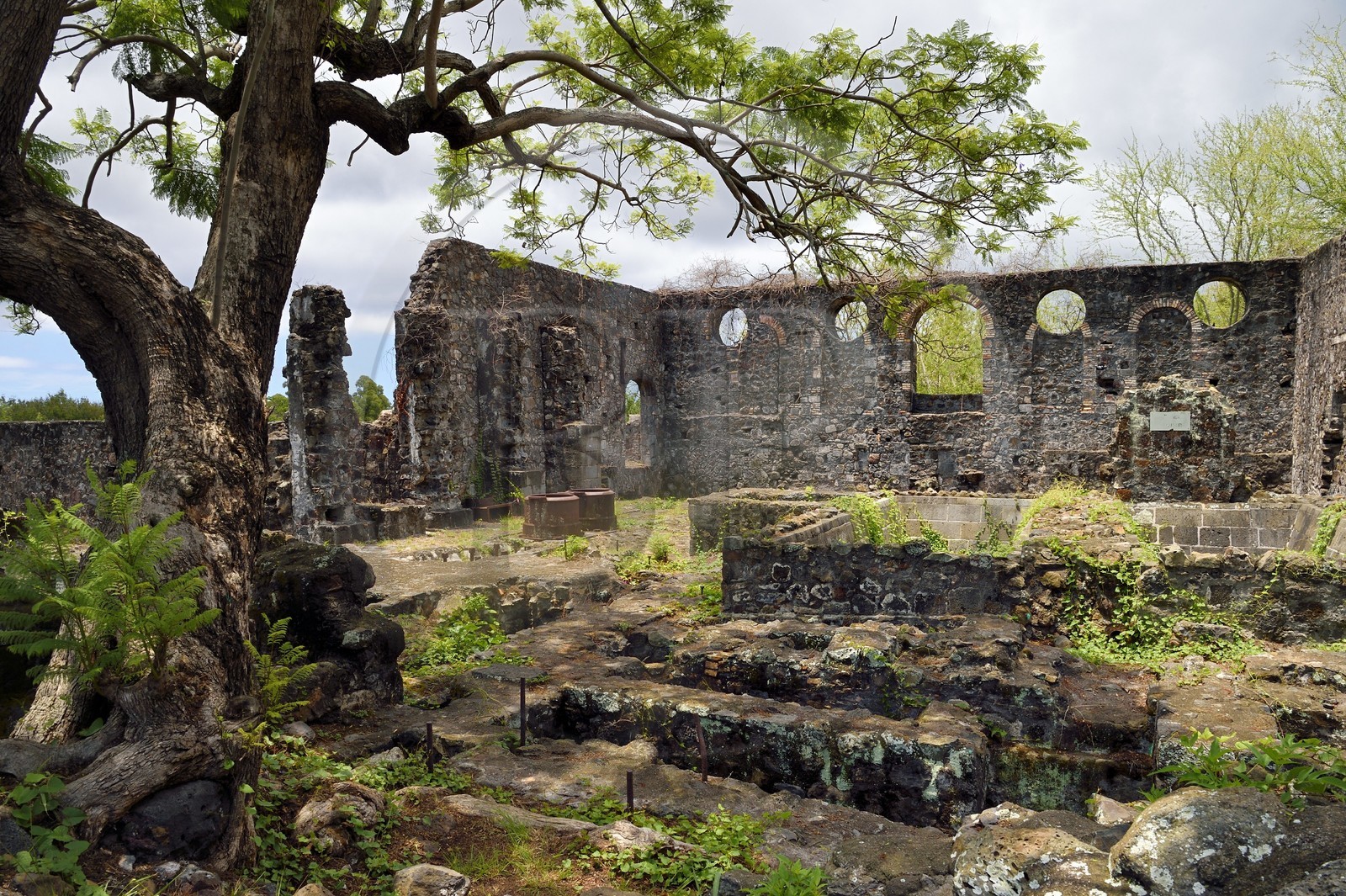 France, Reunion island (French overseas department), Saint Gilles les Hauts, Villèle Museum in the Panon-Desbassyns estate, a former colonial property in the heart of a large sugar cane plantation that employed just over 400 slaves, ruins of the sugar factory