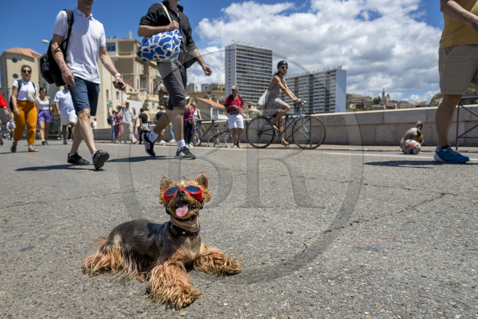 France, Bouches-du-Rhône (13), Marseille, quartier d'Endoume, pont du Vallon des Auffes, la Corniche du Président John Fitzgerald Kennedy piétonne un dimanche par mois au premier plan