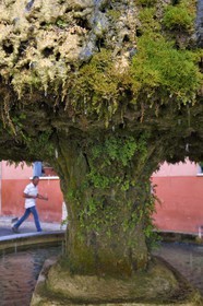 France, Var, Provence Verte, Barjols, fountain covered with tuff and moss in front of town Hall