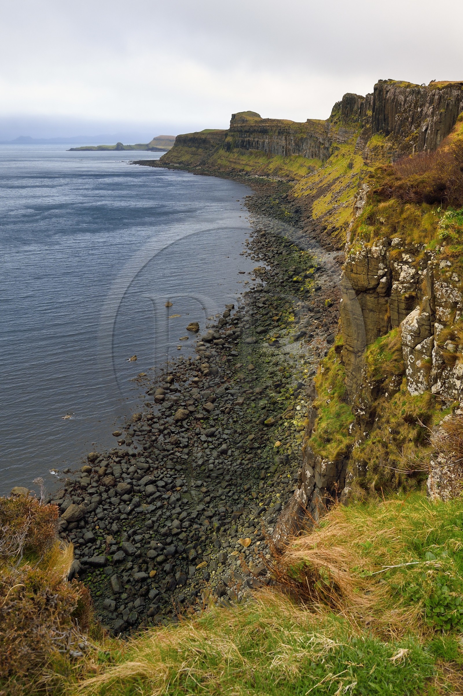 Royaume-Uni, Ecosse, région des Highlands, les Hébrides, Ile de Skye, péninsule de Trotternish, Staffin, les falaises de Kilt Rock