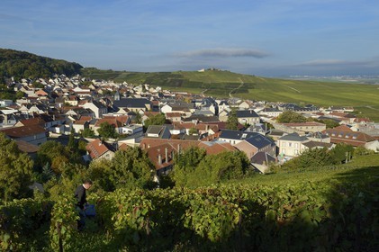 France, Marne (51), parc régional de la Montagne de Reims, Verzenay et son moulin à vent perché au sommet d'une butte surplombant les vignobles de Champagne