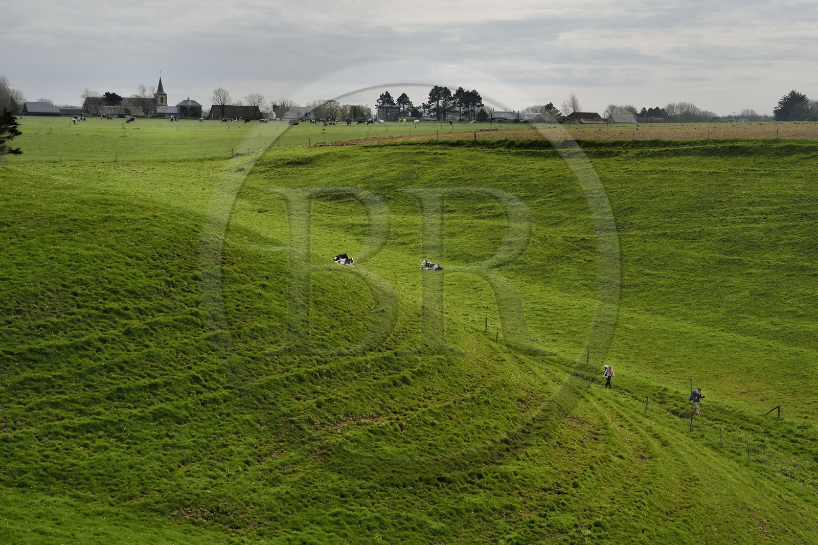 France, Seine-Maritime (76), Pays de Caux, Côte d'Albâtre, entre Etretat et Yport, randonneurs dans la valleuse de Bénouville