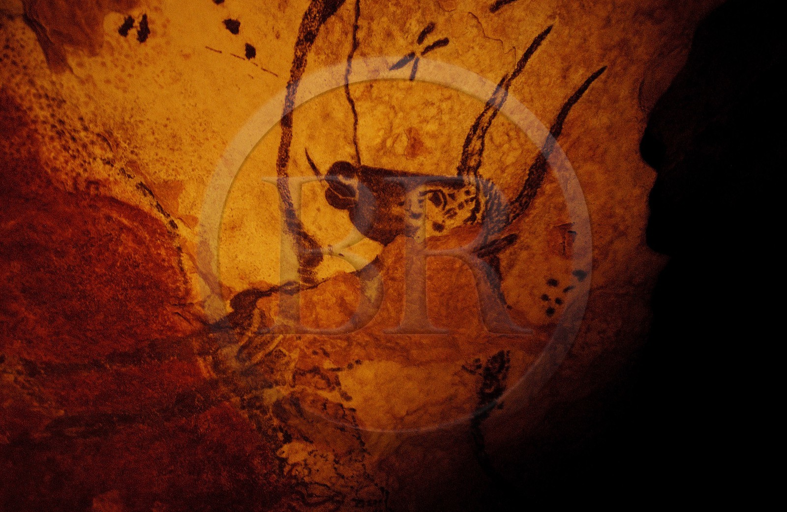 France, Dordogne, Lascaux II caves, paintings