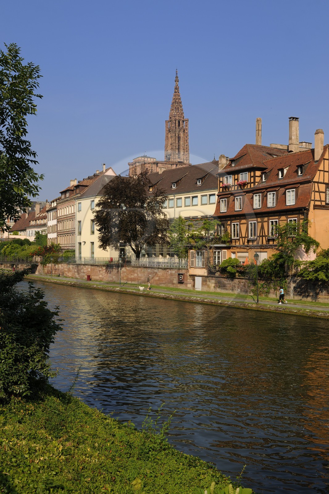France, Bas-Rhin (67), Strasbourg, les bords de l'ill face au quai des Bateliers et la cathédrale