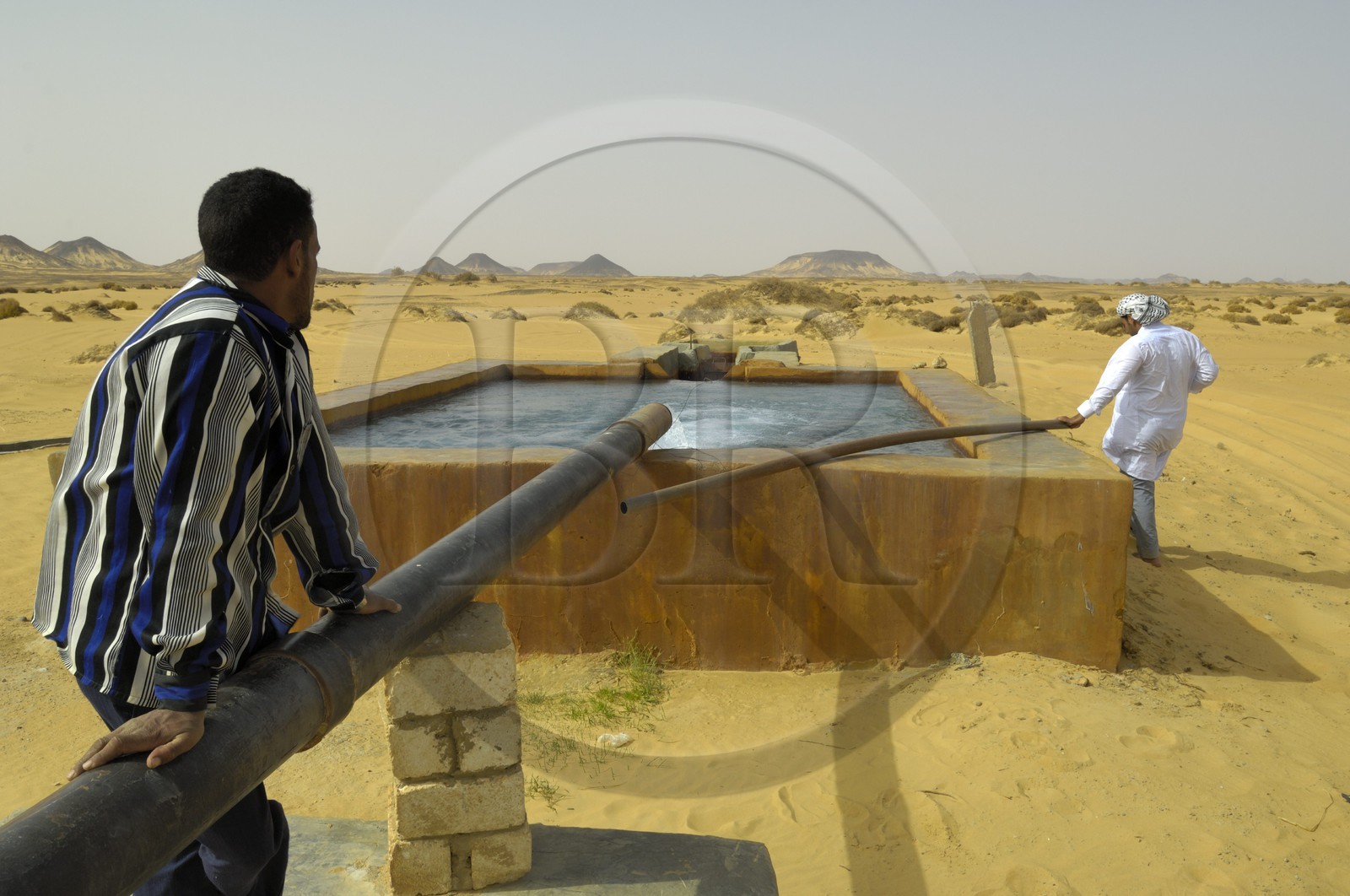 Egypt, Lower Egypt, Libyan desert, oasis of Bahariya (Bahareyya), hot spring