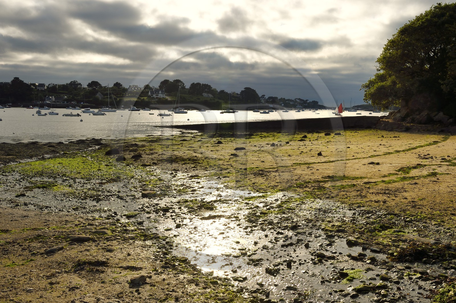 France, Finistère (29), Lannilis, Saint-Pabu face à Prat Ar Coum dans l'Aber Benoit