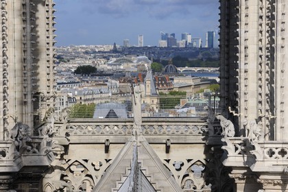 France, Paris (75), île de la Cité, la cathédrale Notre-Dame, la Défense entre les tours