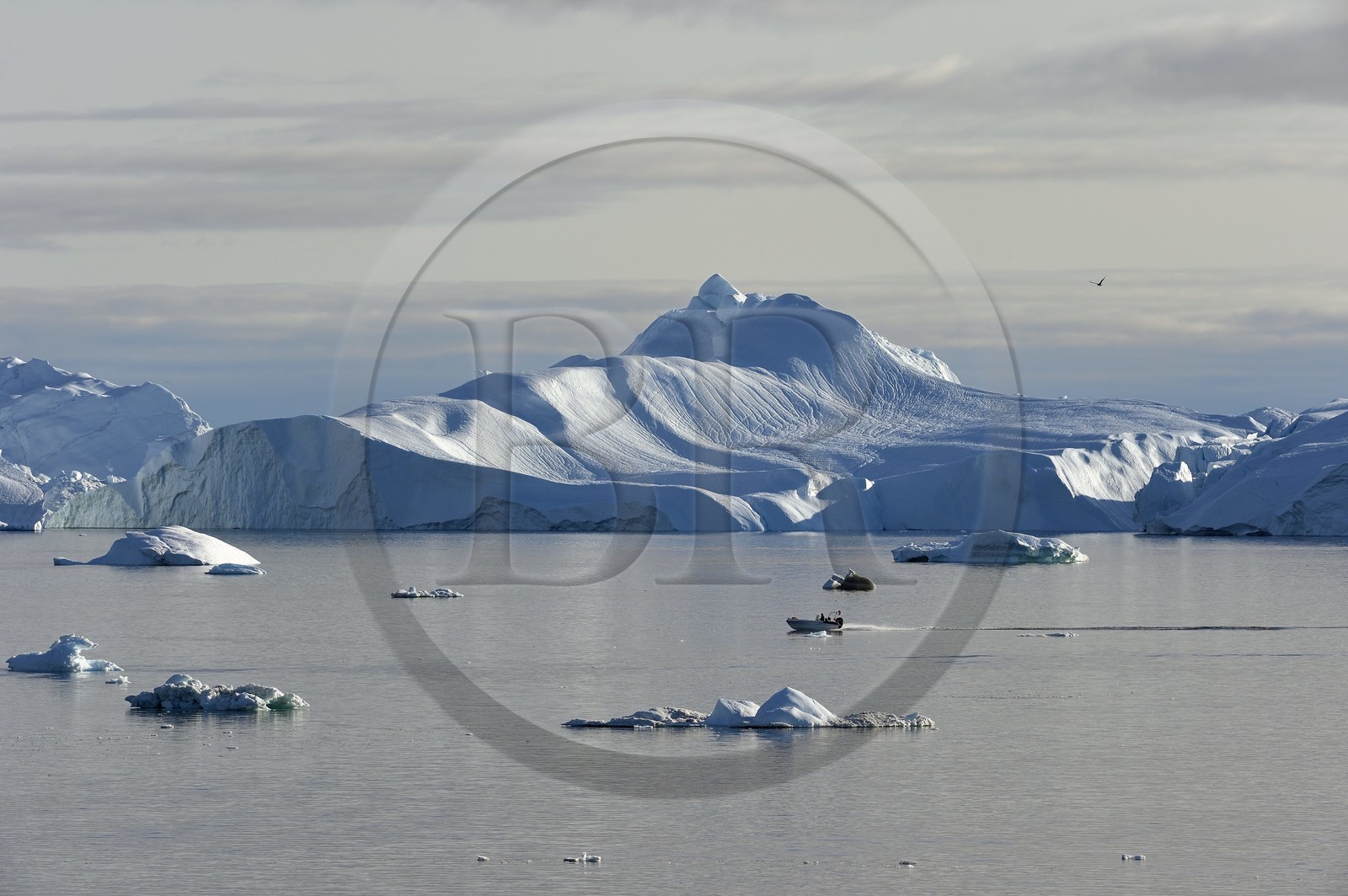 Greenland, west coast, Disko Bay, Ilulissat, speedboat crossing the icefjord listed as World heritage by UNESCO