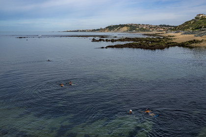 France, Pyrenees Atlantiques, Basque Country coast, Guethary, swimmers at the entrance of the port and the coast towards Biarritz in the background
