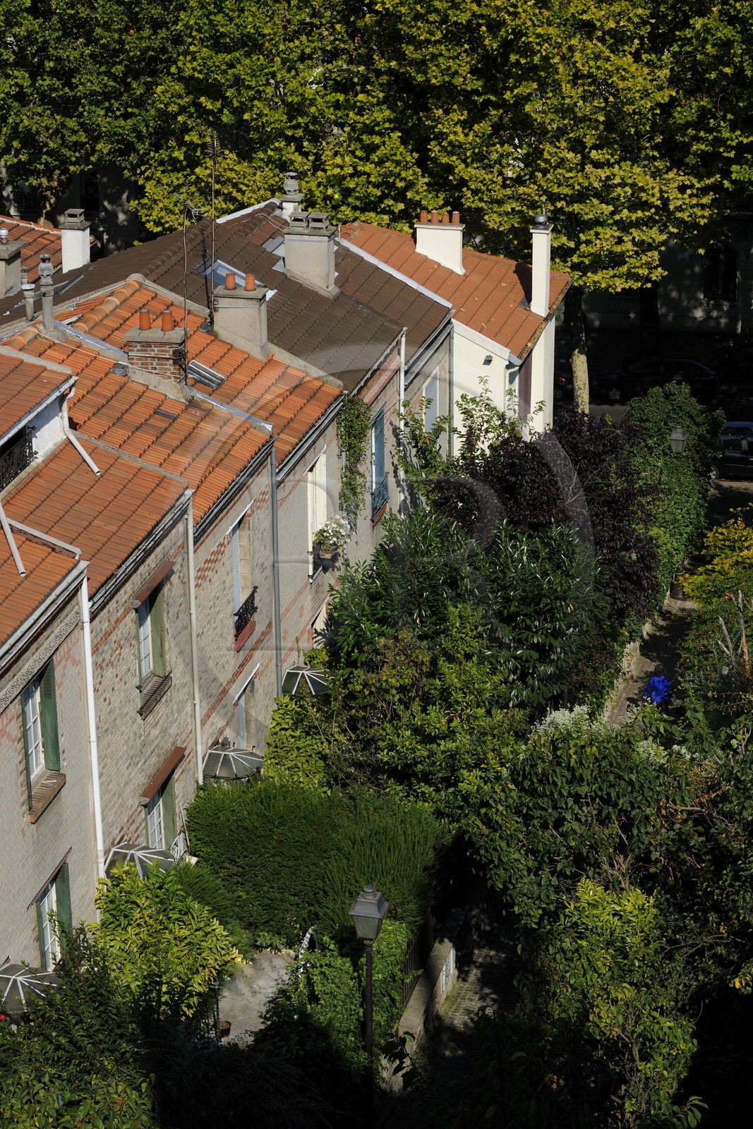 France, Paris (75), 20ème arr, La campagne à Paris du quartier Mouzaïa maisons avec jardins au coeur de la ville
