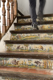 Espagne, Andalousie, province de Séville, Utrera, domaine El Toruno, élevage de taureaux de combat