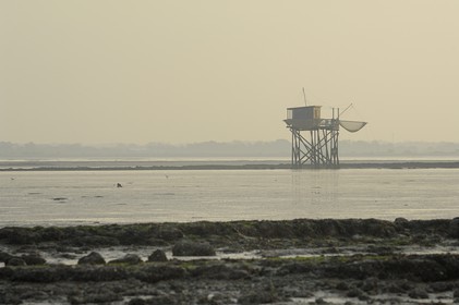 France, Charente-Maritime (17), Ile Madame, carrelets sur la côte