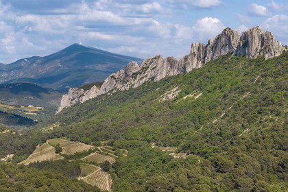 France, Vaucluse (84), Dentelles de Montmirail, Gigondas, la montagne des Dentelles Sarrasines et les vignobles en restanques au col du Cayron, le Mont Ventoux en arrière plan (vue aérienne)