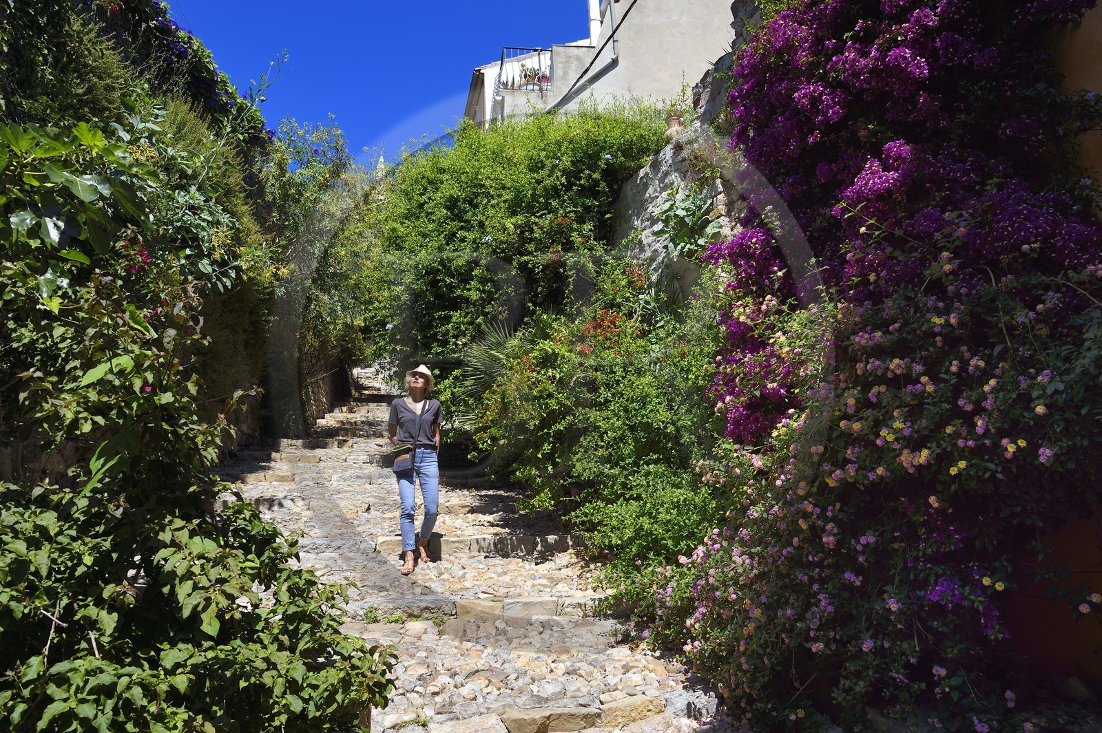 France, Var, Hyeres, rue du Repos