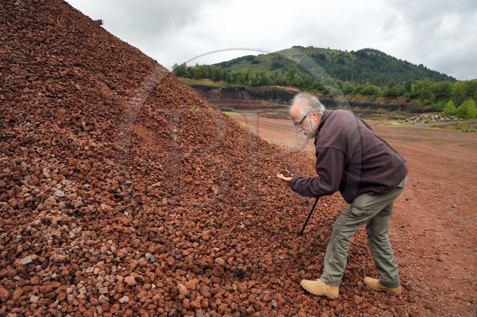France, Puy de Dome, Parc Naturel Régional des Volcans d'Auvergne (regional nature park of Auvergne volcanoes), Chaine des Puys listed as World heritage by UNESCO, Saint Ours les Roches, Lemptegy volcano, a former quarry that has become an educational site open to the public, volcanologist Pierre Boivin observing pozzolana, a natural rock made up of basaltic volcanic slag