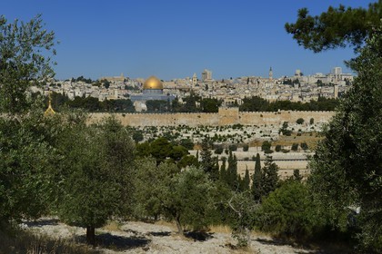 Israel, Jérusalem, ville sainte, vieille-ville classée Patrimoine Mondial de l'UNESCO, le Dôme du Rocher sur l'esplanade des Mosquées (Haram el-Sharif) vu depuis le Mont des Oliviers
