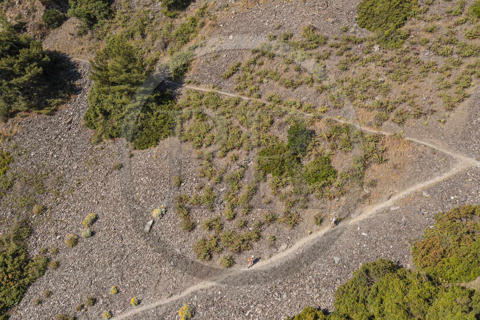 France, Var, La Seyne sur Mer, hike in the Cap Sicie massif along the Chemin du Joncquet below the Corniche Merveilleuse (aerial view)