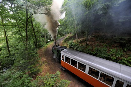 France, Moselle, Abreschviller, small train formerly forest train