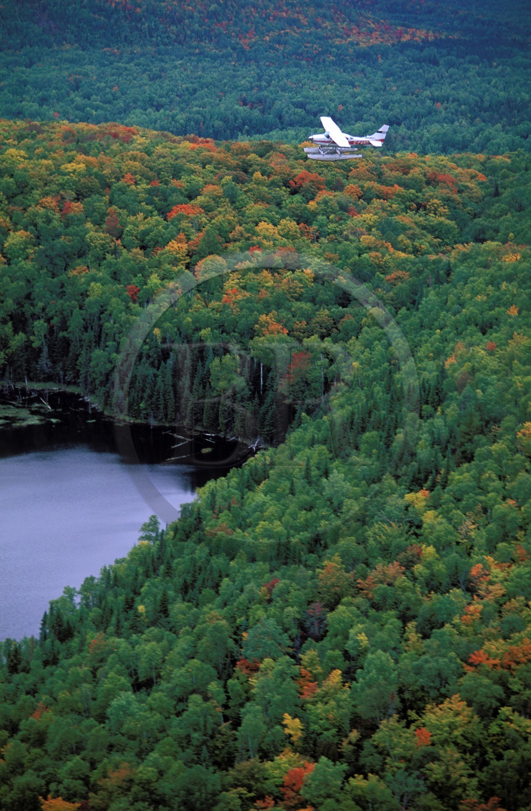 Canada, Quebec Province, overfly in seaplane of the national park of Mauricie (aerial view)