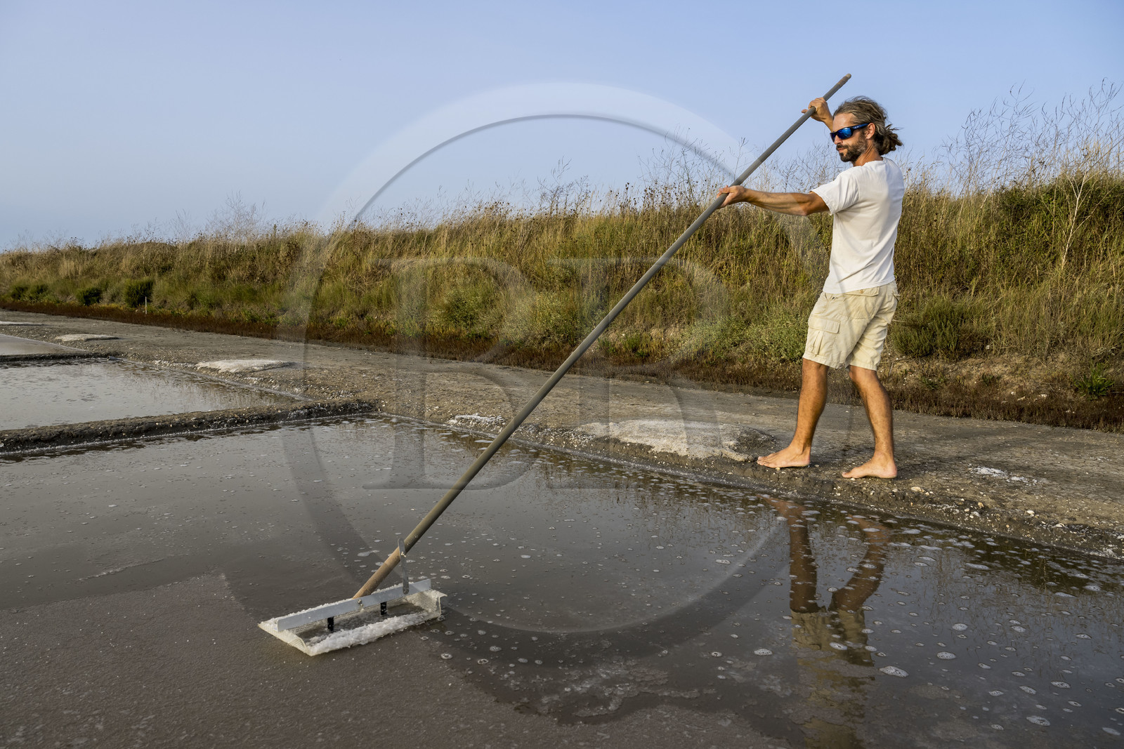 France, Charente Maritime, Oleron island, Saint Georges d'Oléron, artisanal picking of flower of salt by salt worker Samuel Barbereau