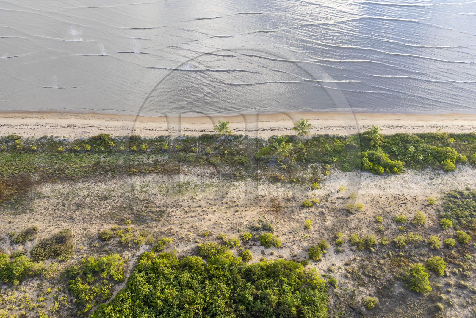 France, Guyane, Kourou, zones humides, forêts et savanes protégées dans l'enceinte du centre spatial et gérées par l'Office National des Forêts (ONF), elle est bordée au Nord-Est par la plage de sable (vue aérienne)