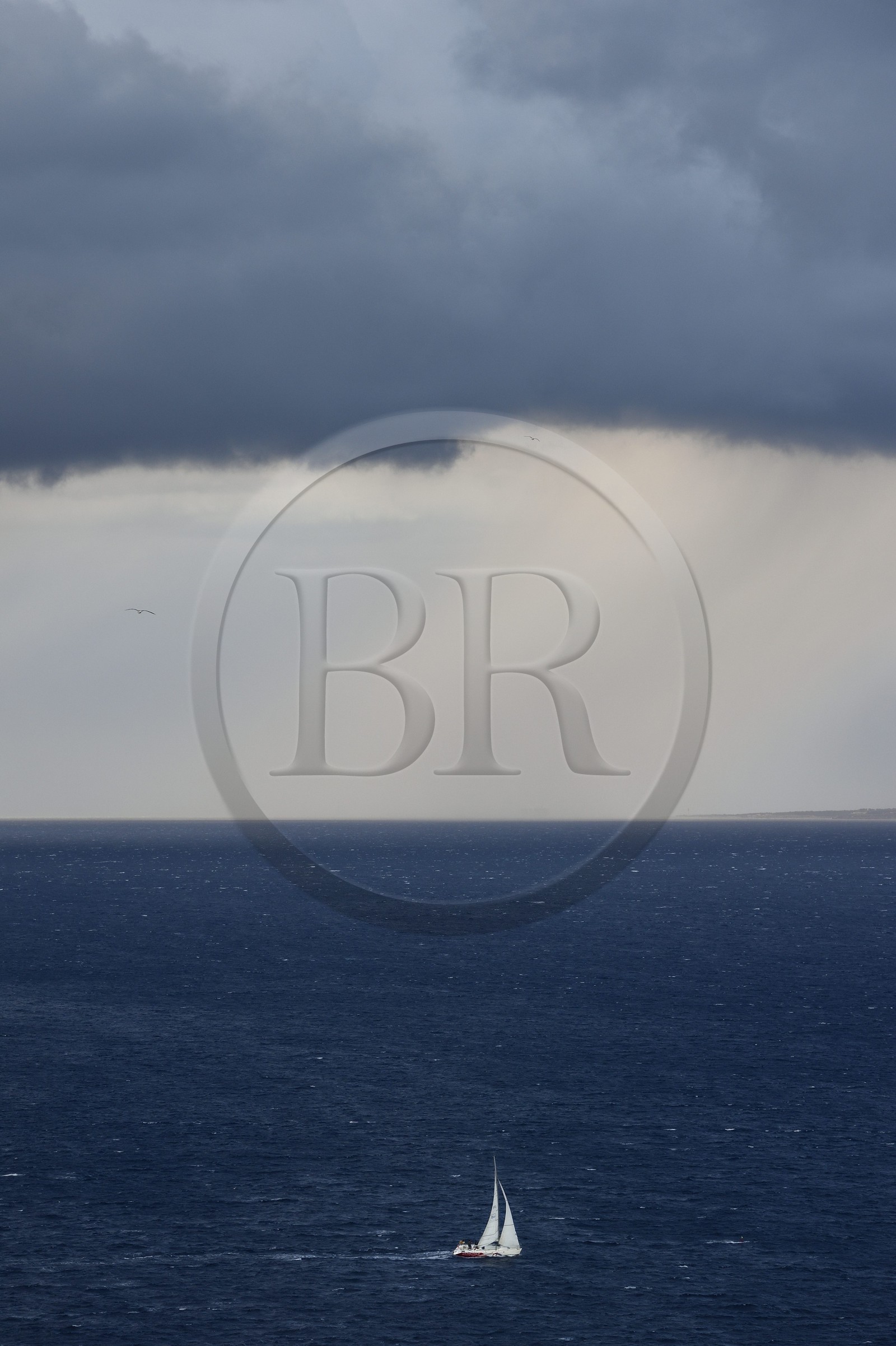 France, Bouches du Rhone, Marseille, sailboat in the harbor