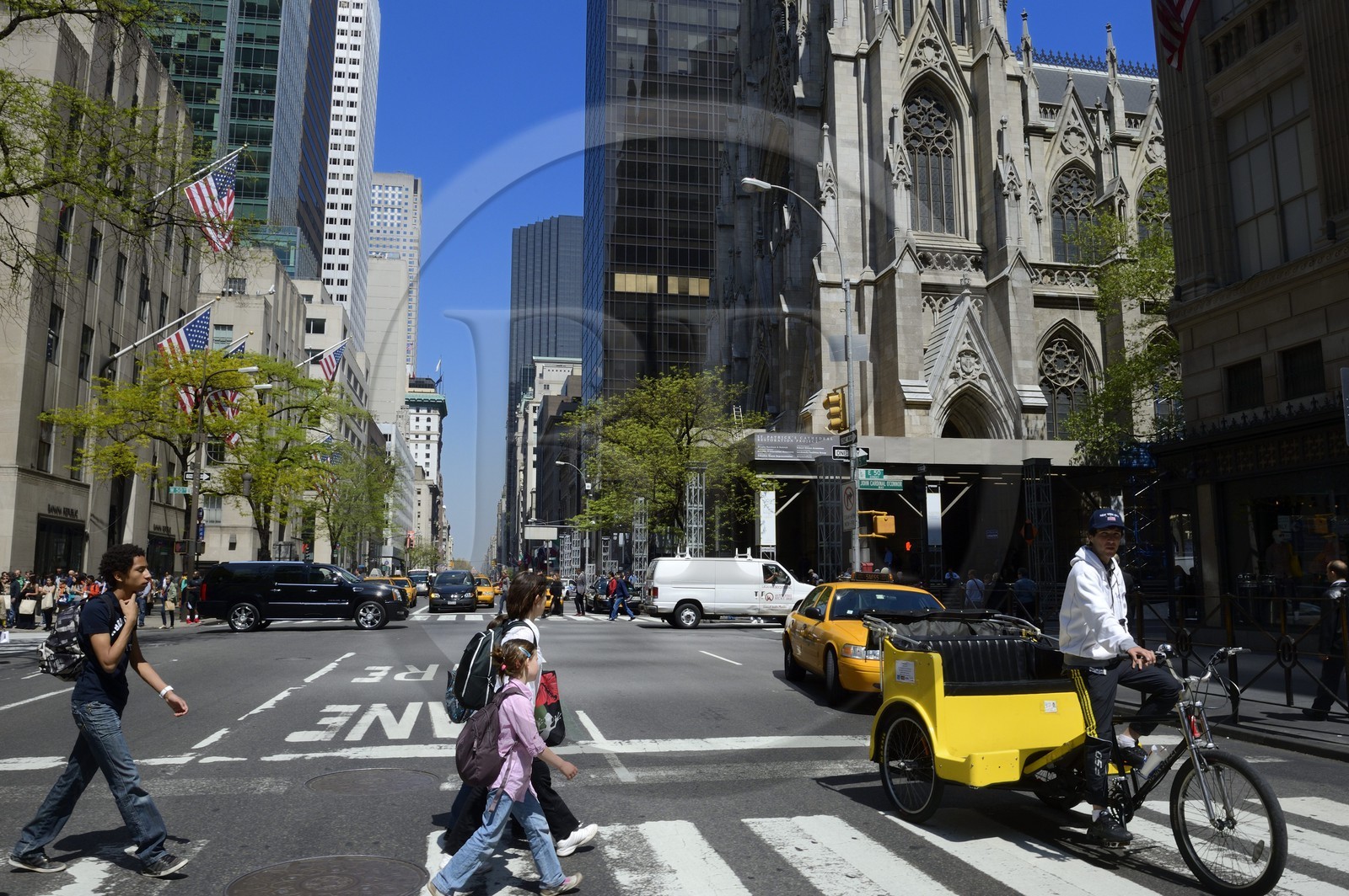 United States, New York, Manhattan, Midtown, Saint Patrick cathedral on 5th Avenue and bicycle-taxi